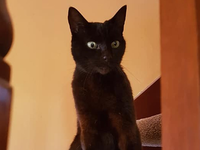 Featured image for “Charlie digs a hole”